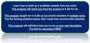 Do you know what is niche in affiliate marketing?
