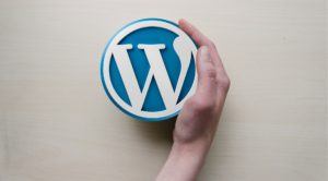 Read more about the article How to Build A WordPress Website for Free and within Just 30 Seconds (With Video)