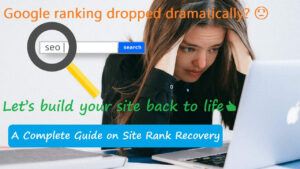 Read more about the article Site Rank Recovery after Google Ranking Dropped Dramatically (Lesson 1 – Assessment)